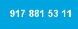 917 881 53 11